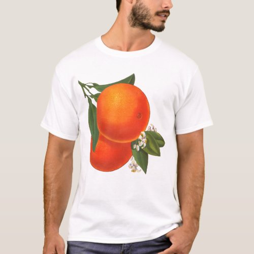 Oranges Vintage Crate Art