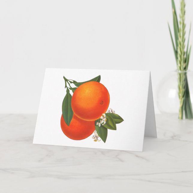 Oranges Vintage Crate Blank Art Card (Front)