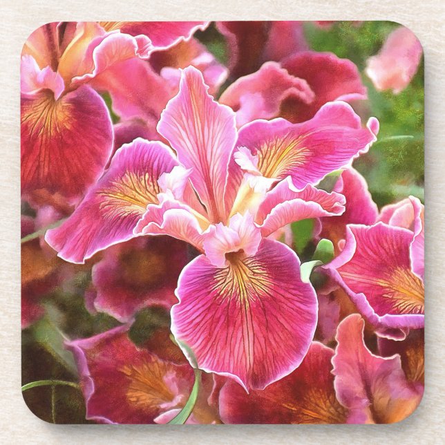 Orangish Pink Iris Beverage Coaster (Front)