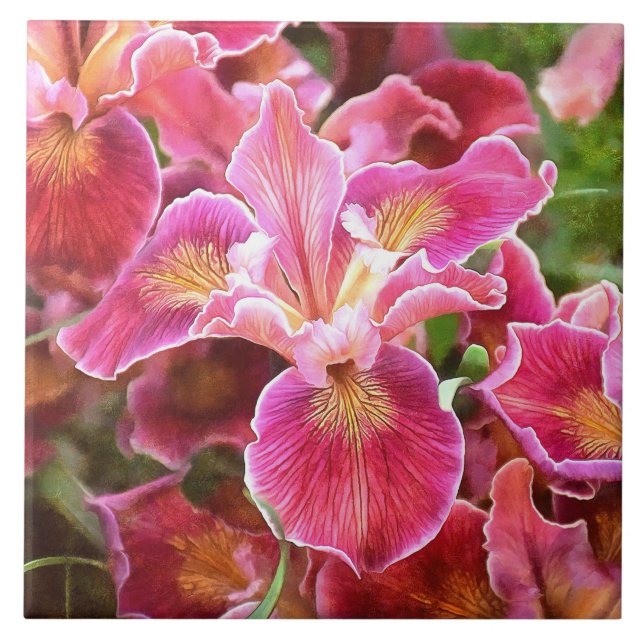 Orangish Pink Iris Ceramic Tile