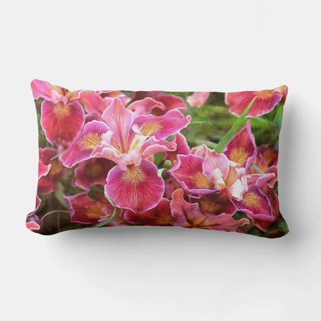 Orangish Pink Iris Lumbar Pillow (Front)