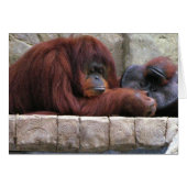 Orangutan (Front Horizontal)