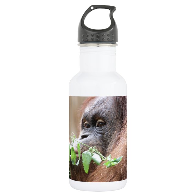 OrangUtan005 Stainless Steel Water Bottle (Front)