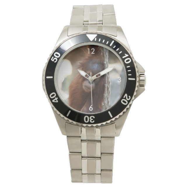 OrangUtan20150904 Watch (Front)
