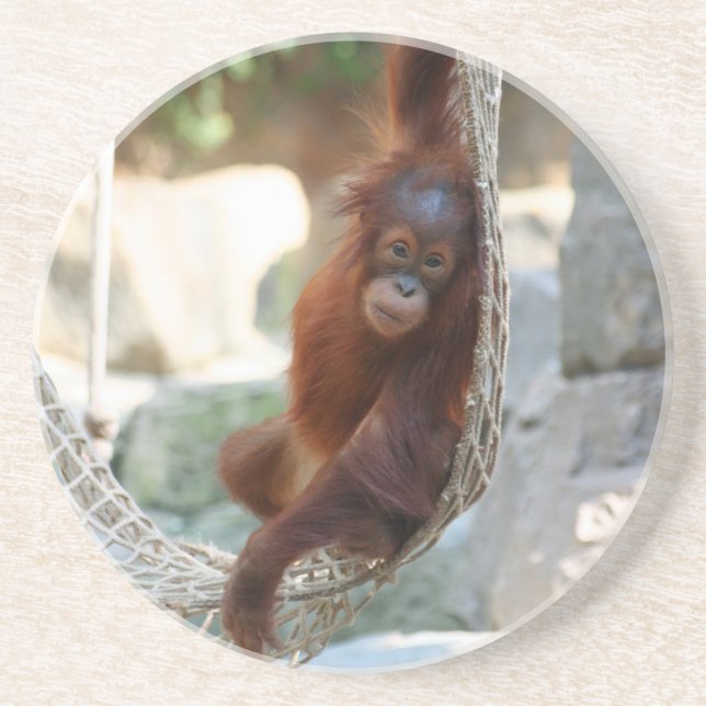 OrangUtan 001 Coaster (Front)