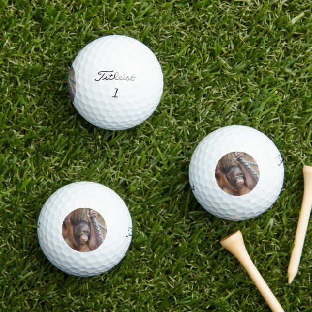 OrangUtan 002 Golf Balls (Insitu Grass)