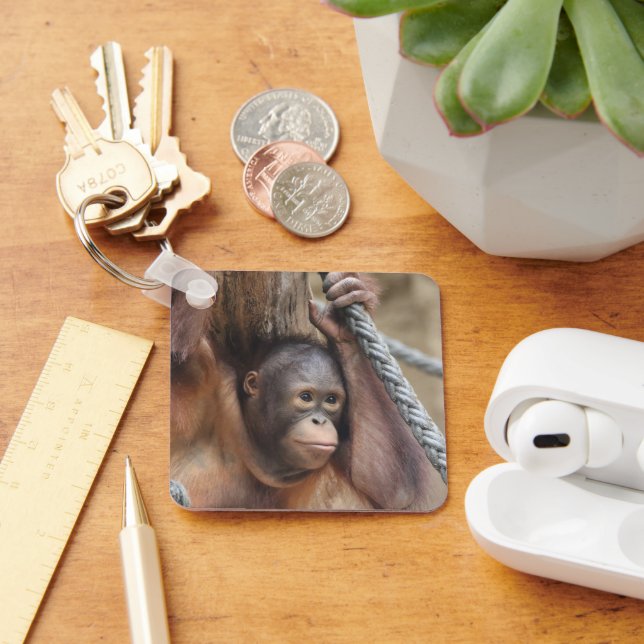 OrangUtan 002 Keychain (Desk)