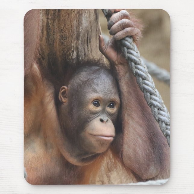 OrangUtan 002 Mouse Pad (Front)