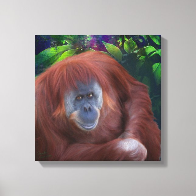 Orangutan 14x14 Stretched Canvas (Front)