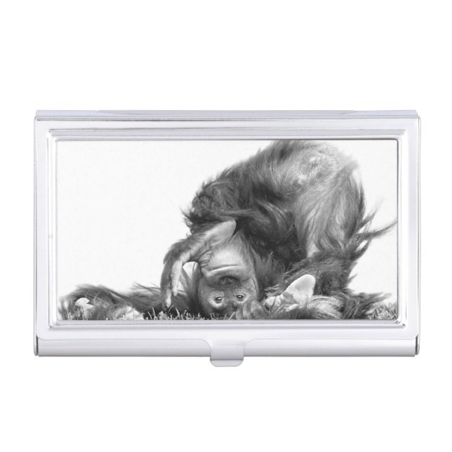 Orangutan#2 Business Card Holder (Front)