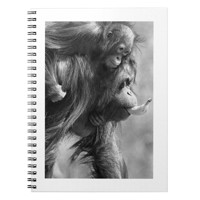 Orangutan#8-Notebook Notebook (Front)