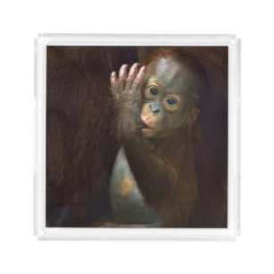 Orangutan Acrylic Tray