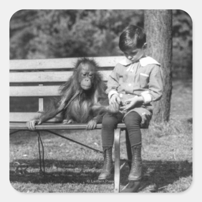 Orangutan and Boy - National Zoo Square Sticker (Front)