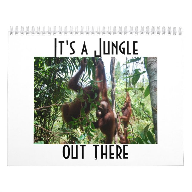 Orangutan Animal Photography Calendar (Cover)
