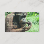 Orangutan Ape Business Card