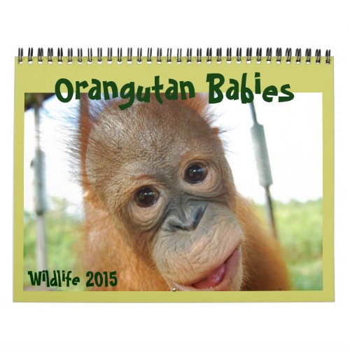 Orangutan Babies Calendar