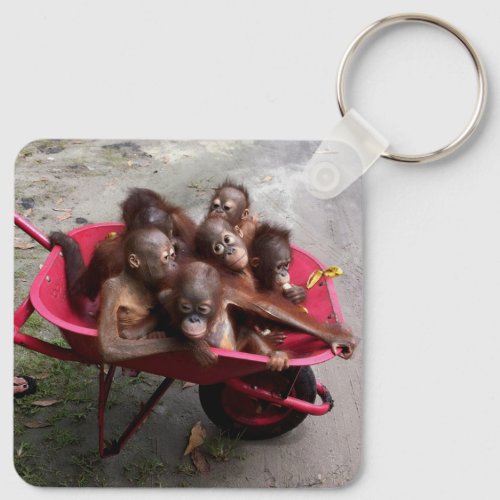 Orangutan Babies Keychain