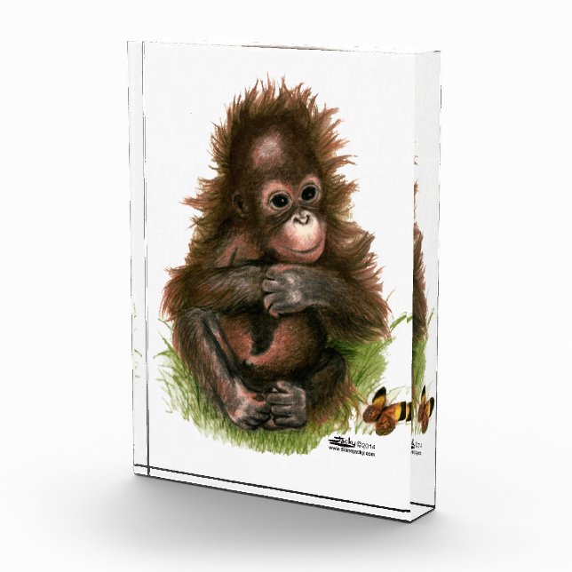 Orangutan Baby and Butterfly Award (Right)