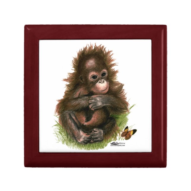 Orangutan Baby and Butterfly Gift Box (Front)