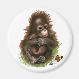 Orangutan Baby and Butterfly Magnet