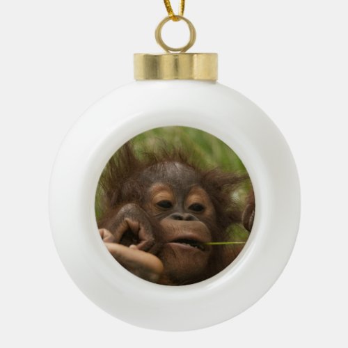 Orangutan Baby Ceramic Ball Christmas Ornament