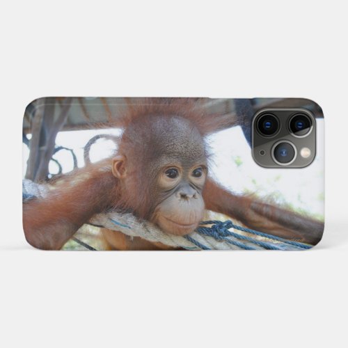 Orangutan Baby Doris iPhone 11 Pro Case