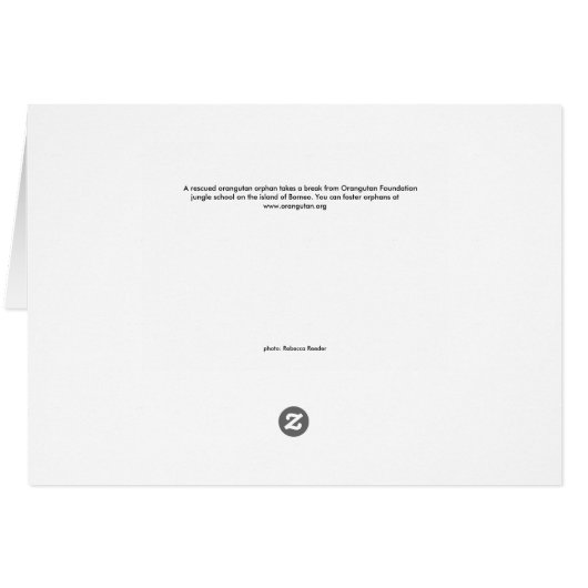 Orangutan Baby in Borneo Jungle School (Back Horizontal)