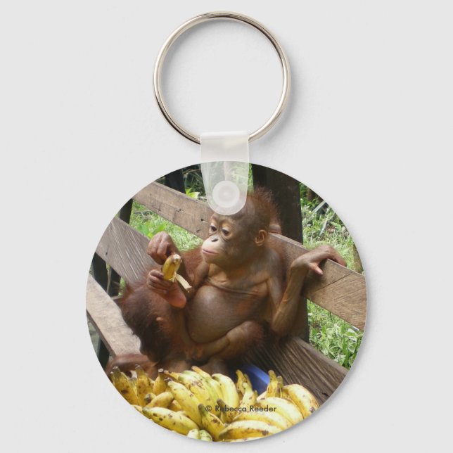 Orangutan Baby in BorneoButton Keychain (Front)