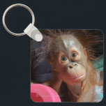 Orangutan Baby  Keychain<br><div class="desc">Orangutan baby keychain - a sweet infant orphan at the Borneo Care Center. Sales of this wildlife image help to conserve these redhead primates which are an endangered species Sometimes people refer to orangutans as monkeys, but orangutans are great apes. The artist is a volunteer who donates her profits to...</div>