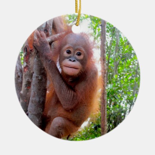 Orangutan Baby Uttuh Ceramic Ornament
