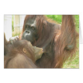 Orangutan Breastfeeding (Front Horizontal)