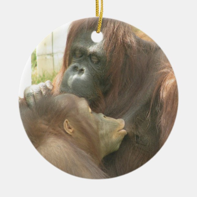 Orangutan Breastfeeding Ceramic Ornament (Front)
