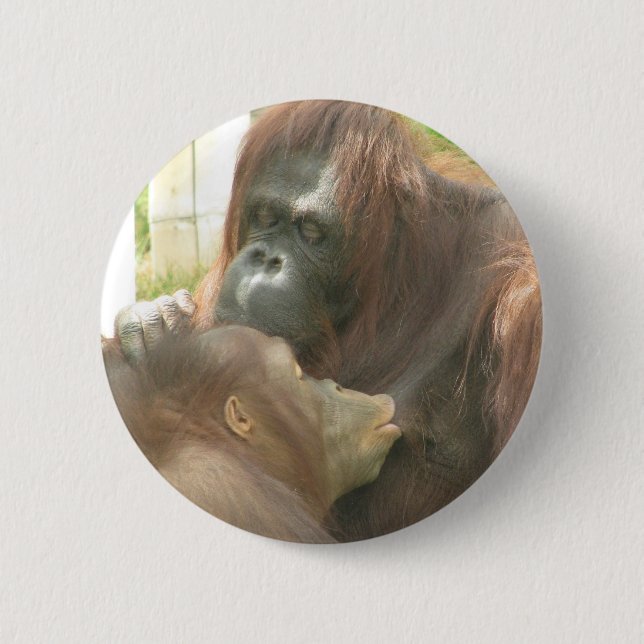 Orangutan Breastfeeding Pinback Button (Front)