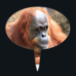 Orangutan Cake Topper<br><div class="desc">add text or upload your own image</div>