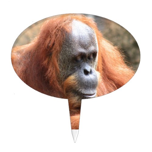 Orangutan Cake Topper