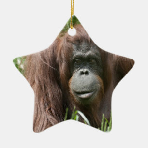 Orangutan Ceramic Ornament
