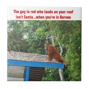 Orangutan Christmas Borneo Tile