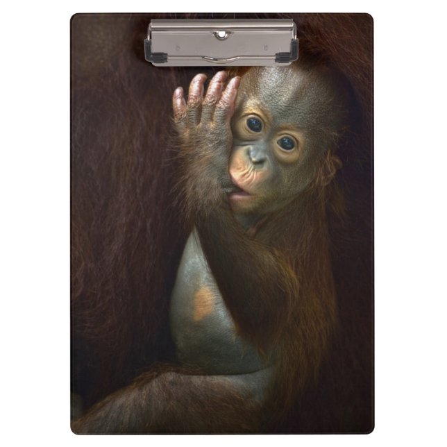 Orangutan Clipboard (Front)