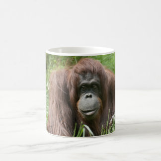 Orangutan Coffee Mug