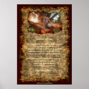 Orangutan Endangered Wildlife Animal Decree Poster