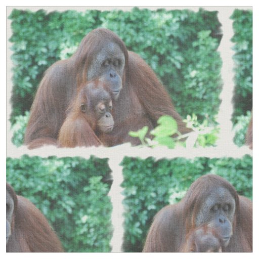 Orangutan Fabric