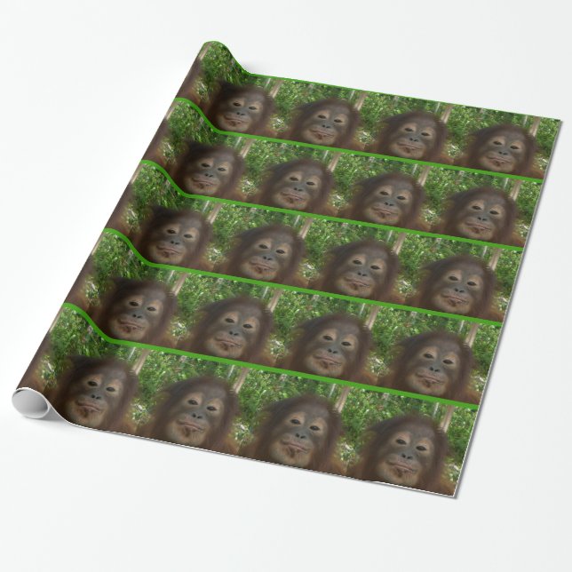 Orangutan Face Wrapping Paper (Unrolled)