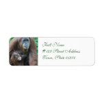 Orangutan Family Mailing Labels