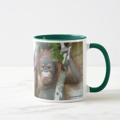 Orangutan Foundation International rescued orphan Mug