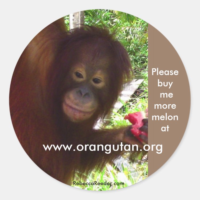 Orangutan goes Ape for Watermelon Round Stickers