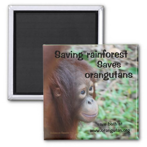 Orangutan Habitat Magnet