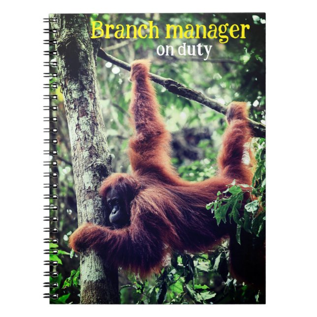 Orangutan hanging in tree notebook (Front)