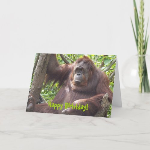 Orangutan Happy Birhtday Card