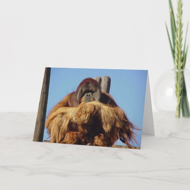 Orangutan Happy Birthday Template Card (Front)