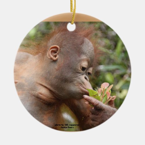 Orangutan Holiday Treats Ceramic Ornament